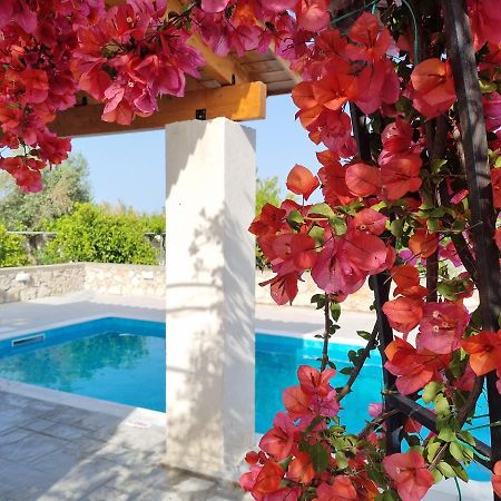 Lianas Garden House Villa Afantou Eksteriør bilde